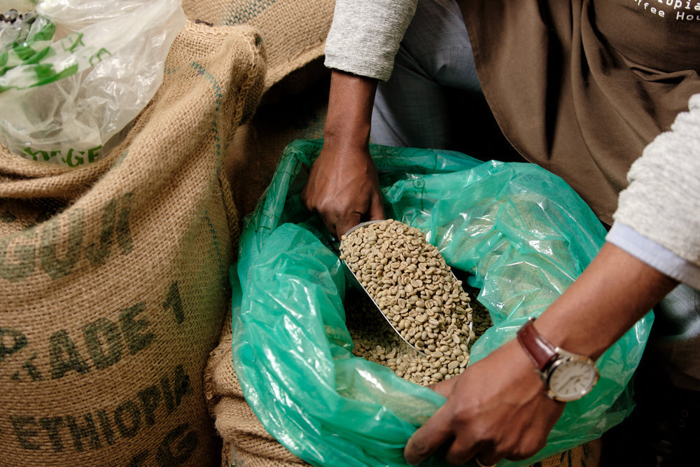 Raw coffee beans from Ethiopia.