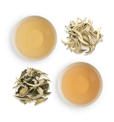 weaverscoffee.sbs White Tea - Bai Mu Dan