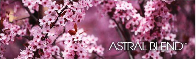 weaverscoffee.sbs Cherry blossoms on bag design of Astral Blend Coffee.