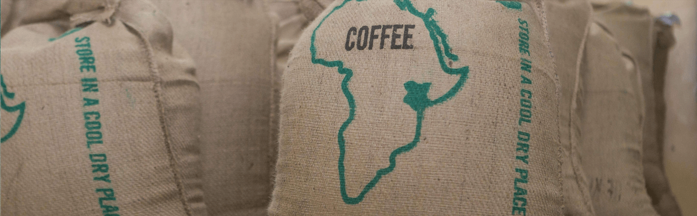 weaverscoffee.sbs Large green coffee sacks of Kenya AA Coffee.