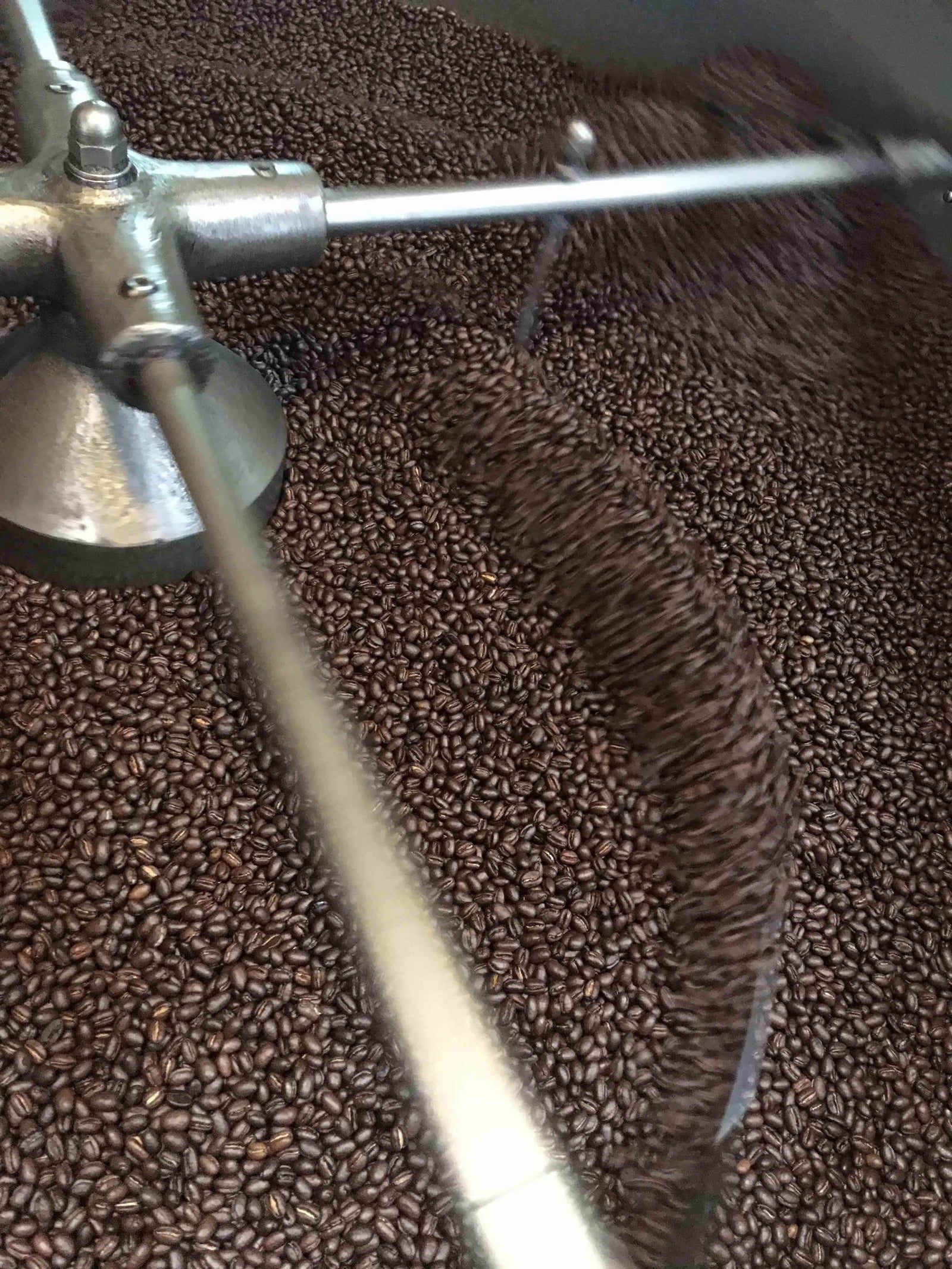 weaverscoffee.sbs Papua New Guinea Peaberry Coffee in the cooling tray of a coffee roaster.