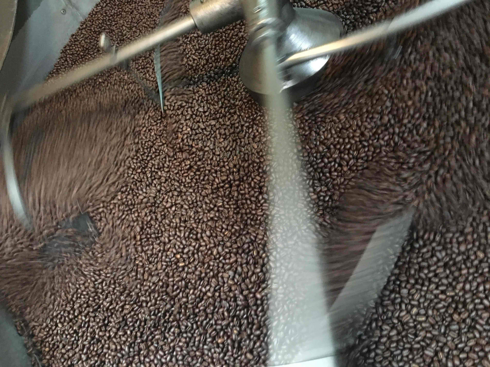 weaverscoffee.sbs Peaberry Reserve Coffee in the coffee roaster cooling tray.