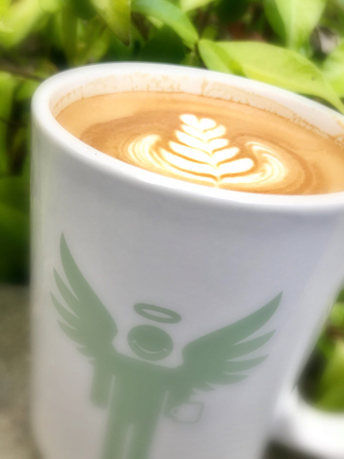 weaverscoffee.sbs Peaberry Reserve Coffee 
