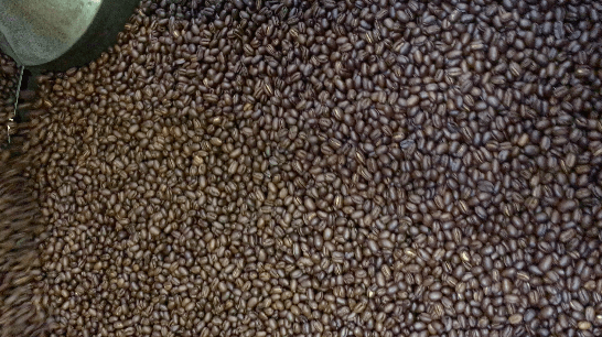 weaverscoffee.sbs Close up of freshly roasted Kenya Coffee Peaberry.