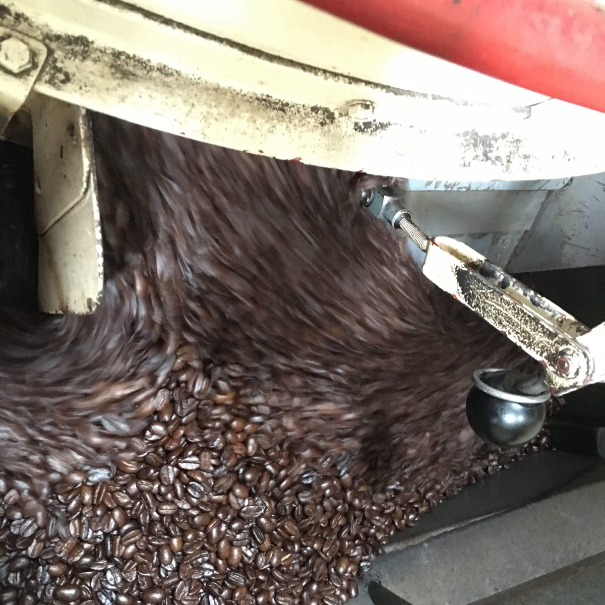weaverscoffee.sbs Fresh roasted coffee in the coffee roaster filled with Aged Mocha Java Coffee.