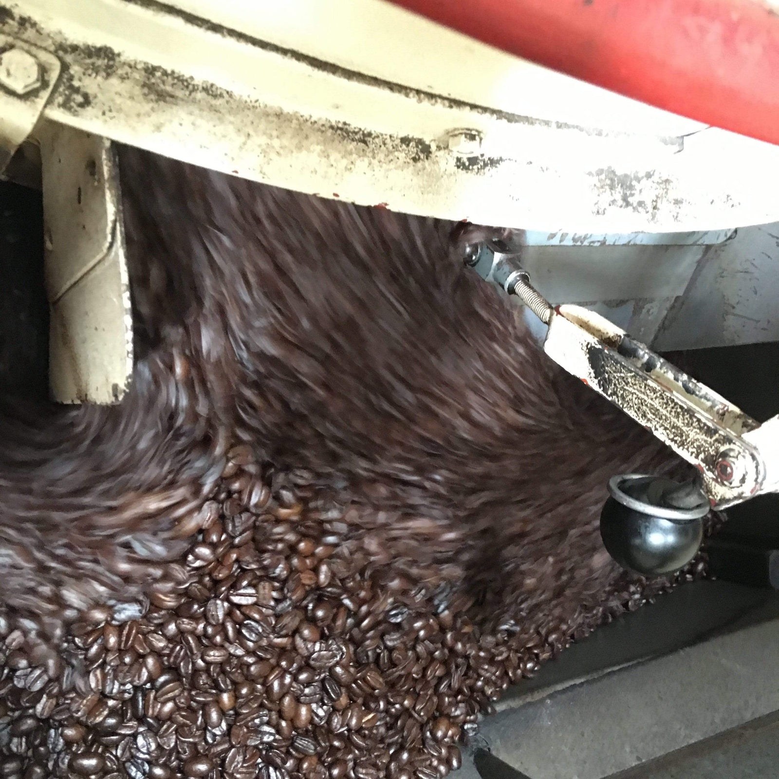 weaverscoffee.sbs Fresh roasted coffee in the coffee roaster filled with Aged Mocha Java Coffee.