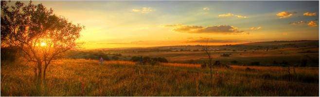 weaverscoffee.sbs Image of African Sunset over African Coffee Blend Farms.