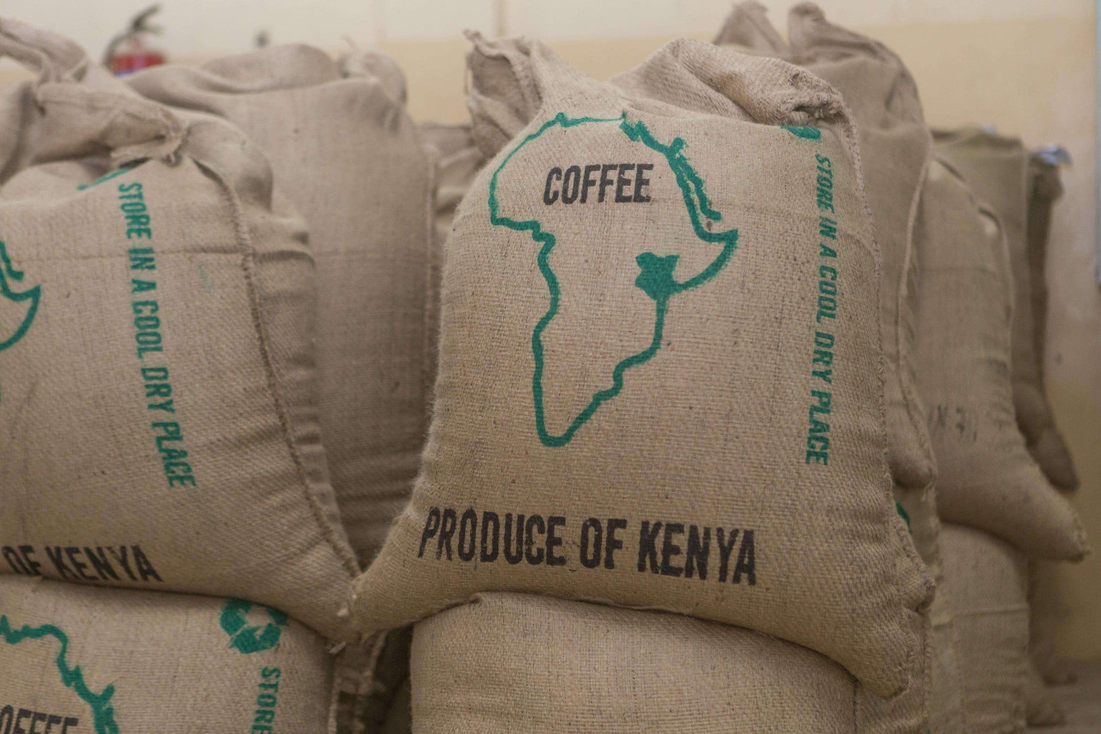 weaverscoffee.sbs Stacks of large green coffee sacks of Kenya AA Coffee.