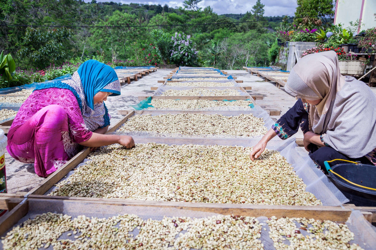 weaverscoffee.sbs Sumatra Coffee
