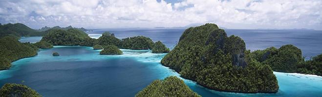 weaverscoffee.sbs The island where Papua New Guinea Peaberry Coffee is grown.